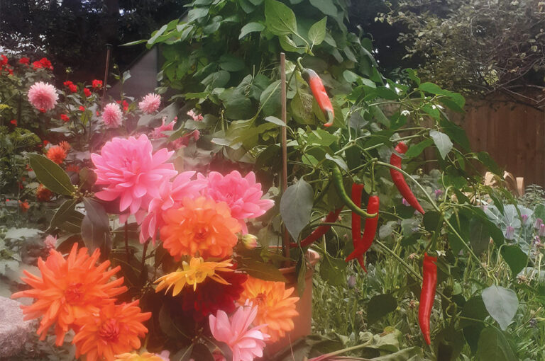 oct nov magazine2020