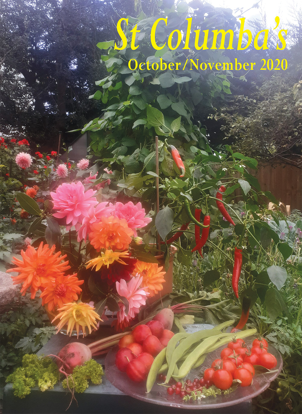 oct nov magazine2020