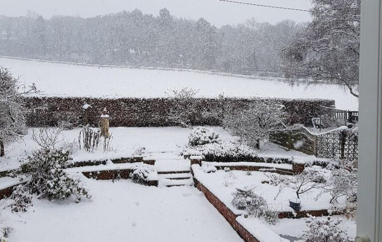 E Newsletter 14 February 2021