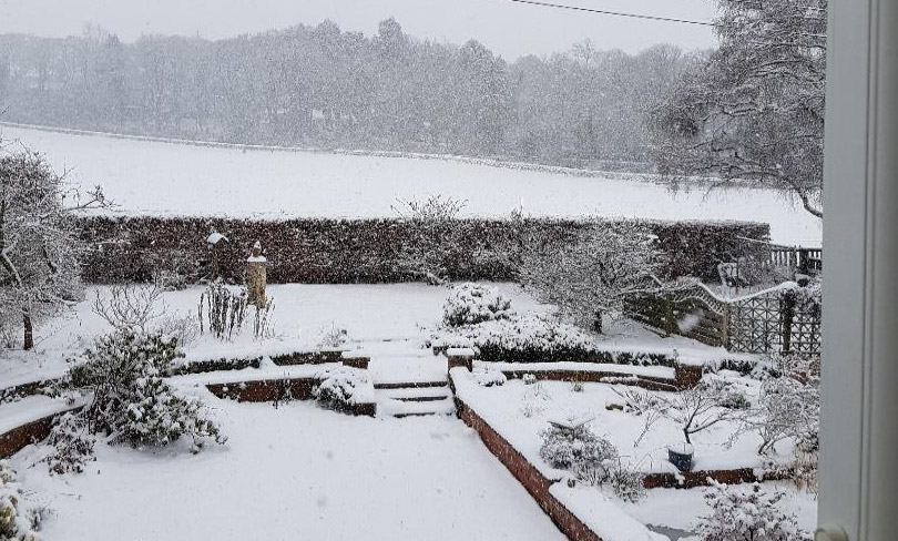 E Newsletter 14 February 2021