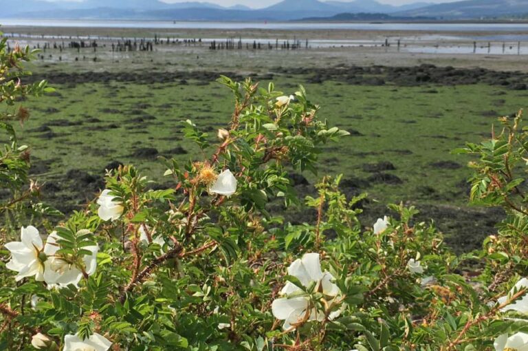 august-september-mag21