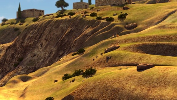Landscape
