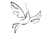 Dove drawing