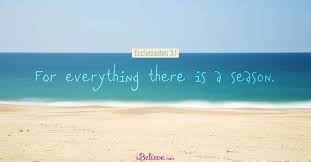 View of the sea with quote
